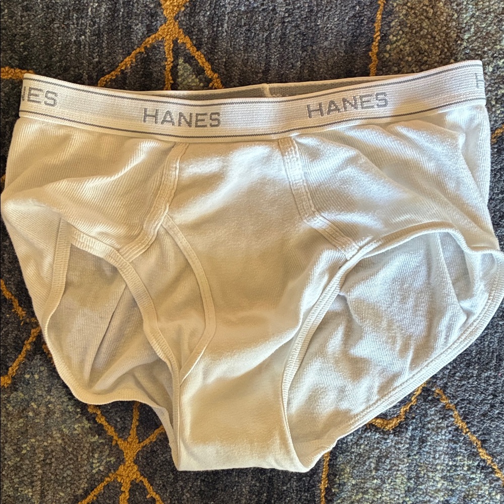 Hanes Men's Classic white Briefs